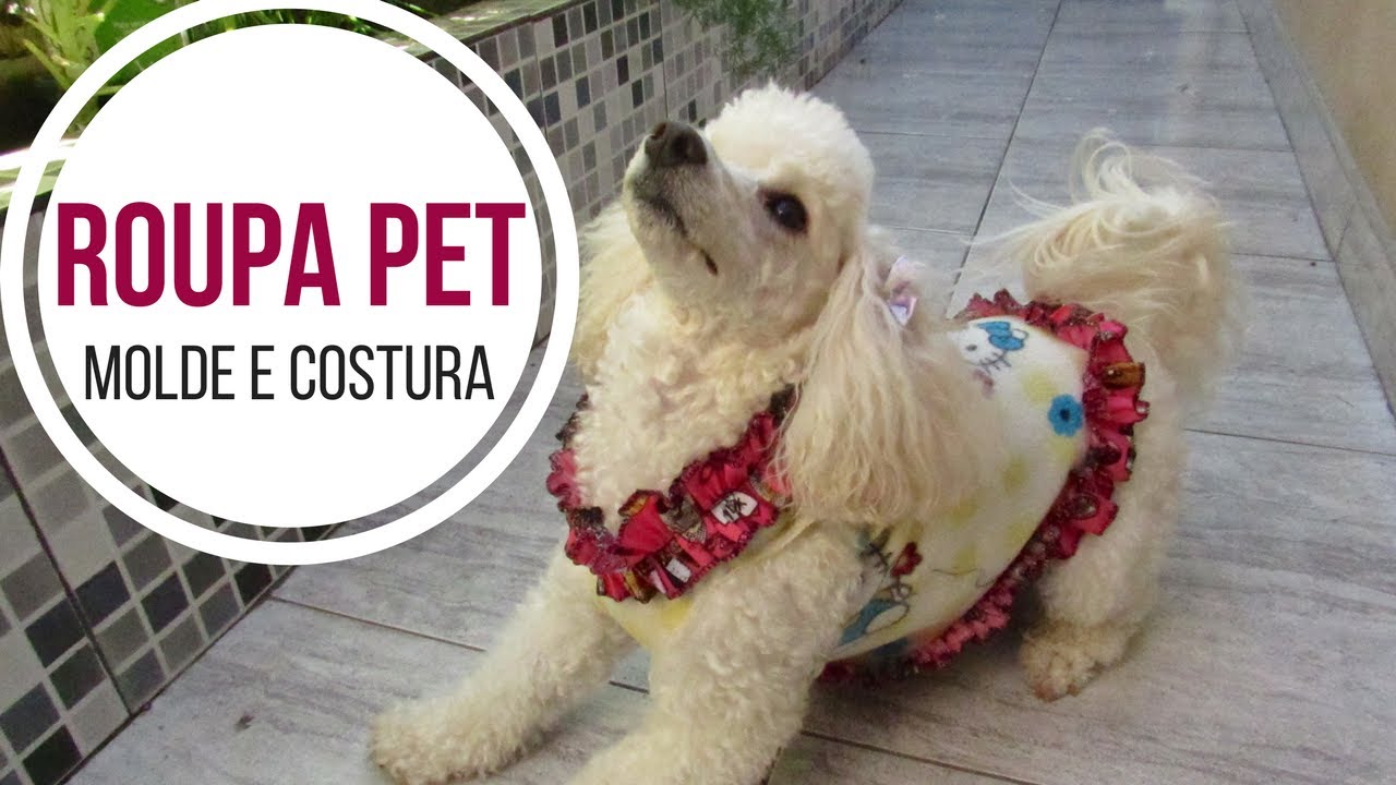 Roupa Pet festa Junina Alana Santos Blogger