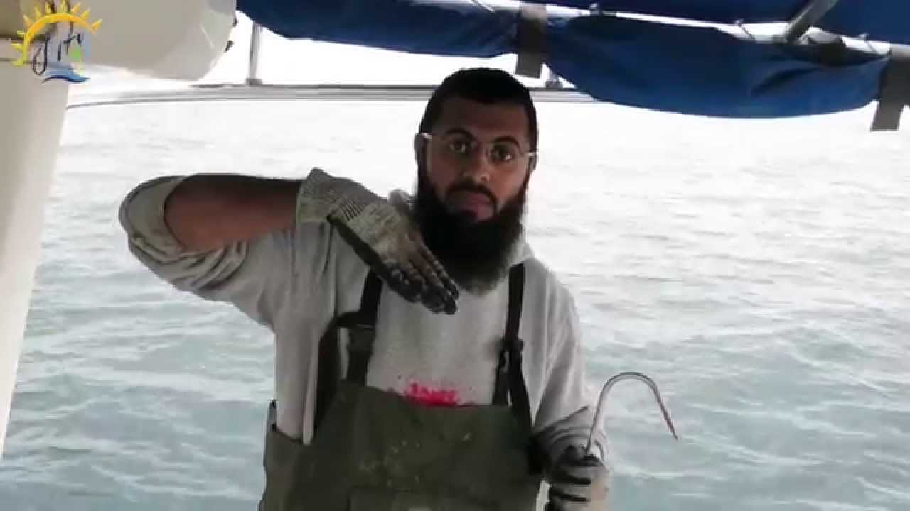 شرح طريقة التشخيط بالقفشه و البورد - احمد مُندي
