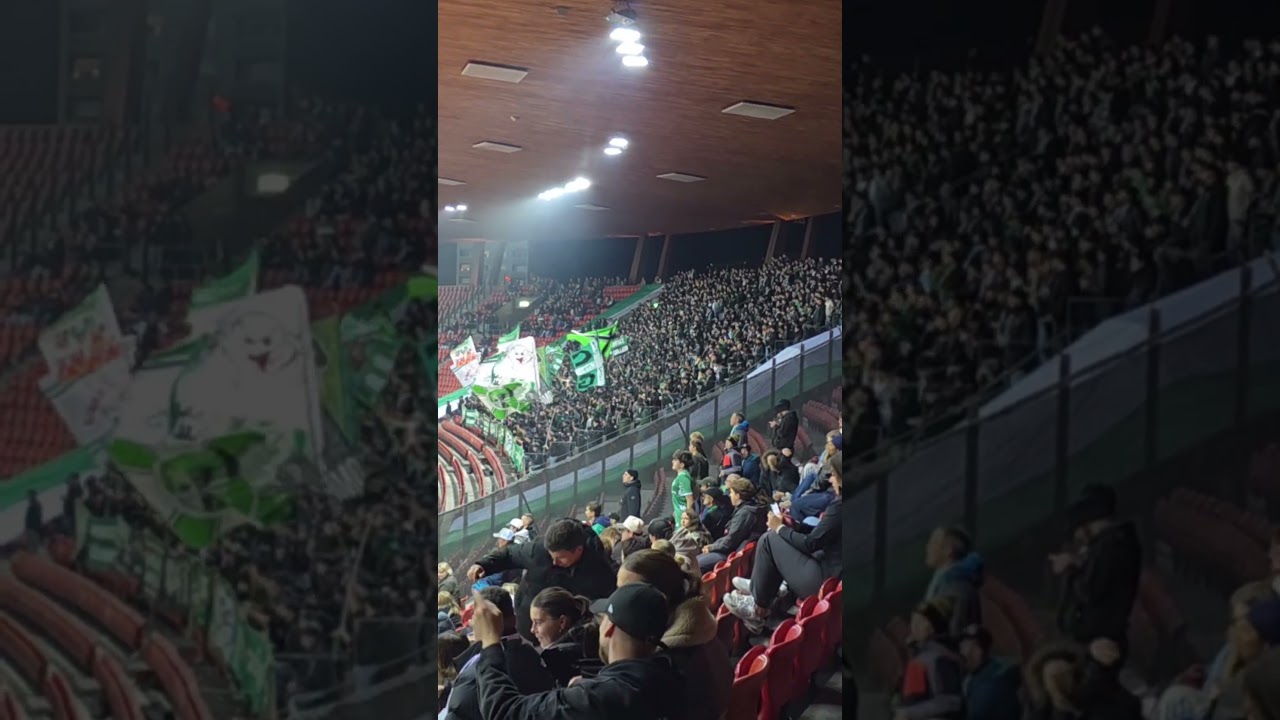 FC St. Gallen Fans 🔥