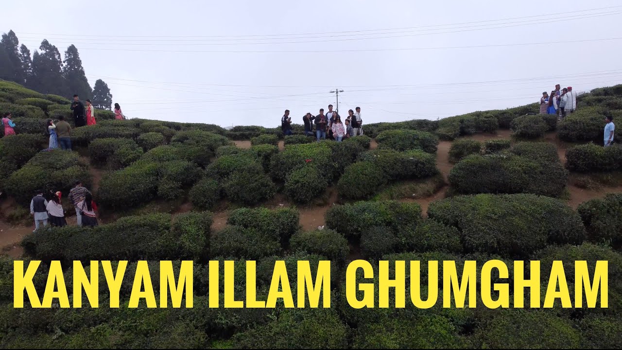 ILLAM KANYAM TEA GARDEN GHUMGHAM FROM ITAHARI || VLOG || 4K