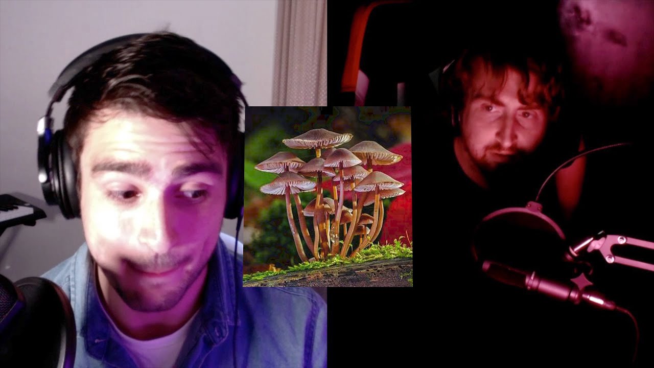 Who Shouldn&rsquo;t Trip on Psychedelics?