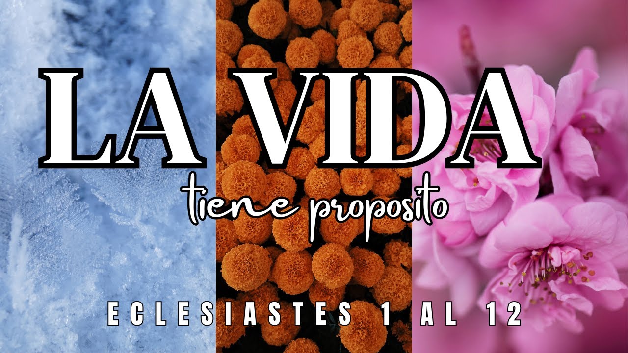 Audiolibro de Eclesiastés NTV Audiolibro Narracion Femenina |Biblia Hablada
