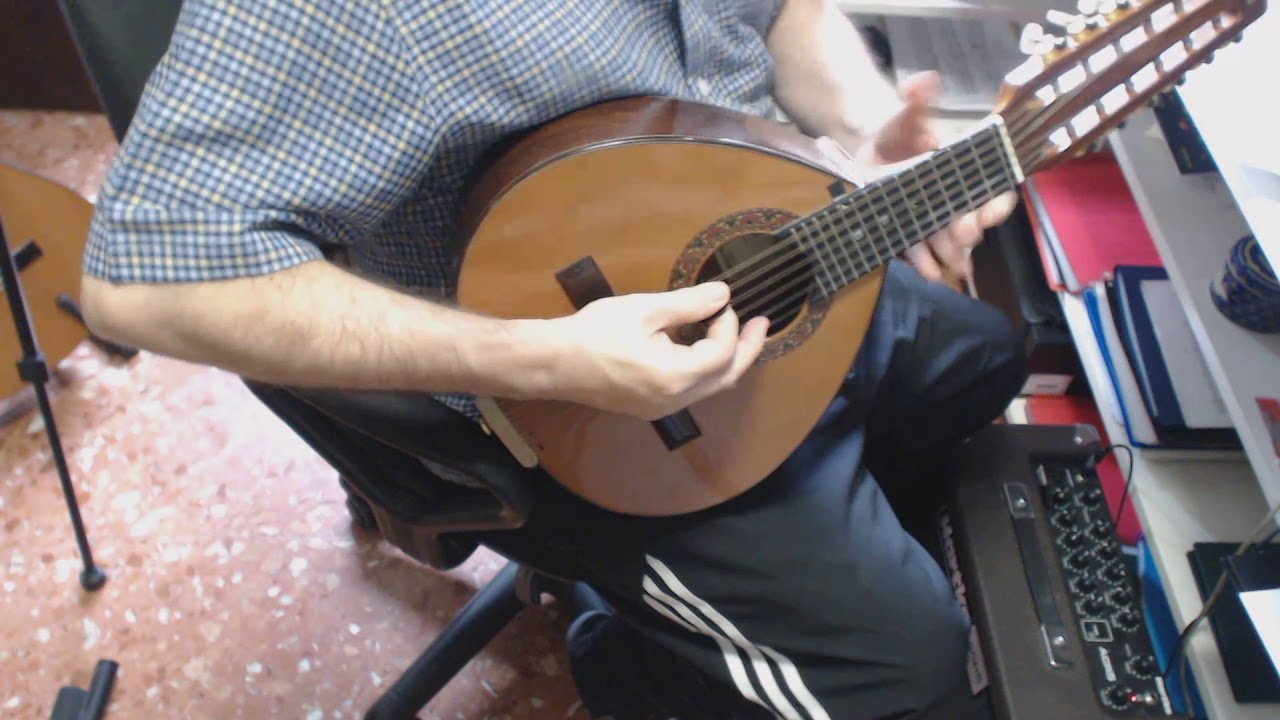 Autodidacta . No profesor. Bandurria , cuerdas al aire Asi estudio.