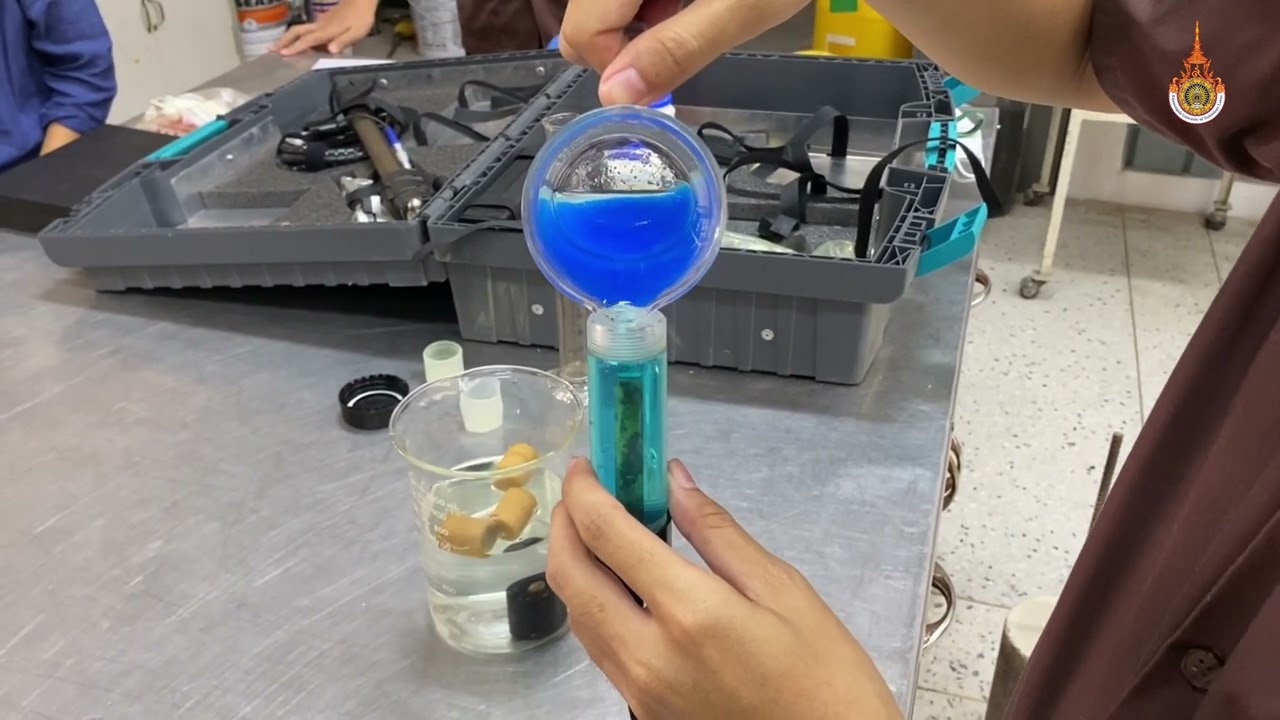 Half Cell Potential Test