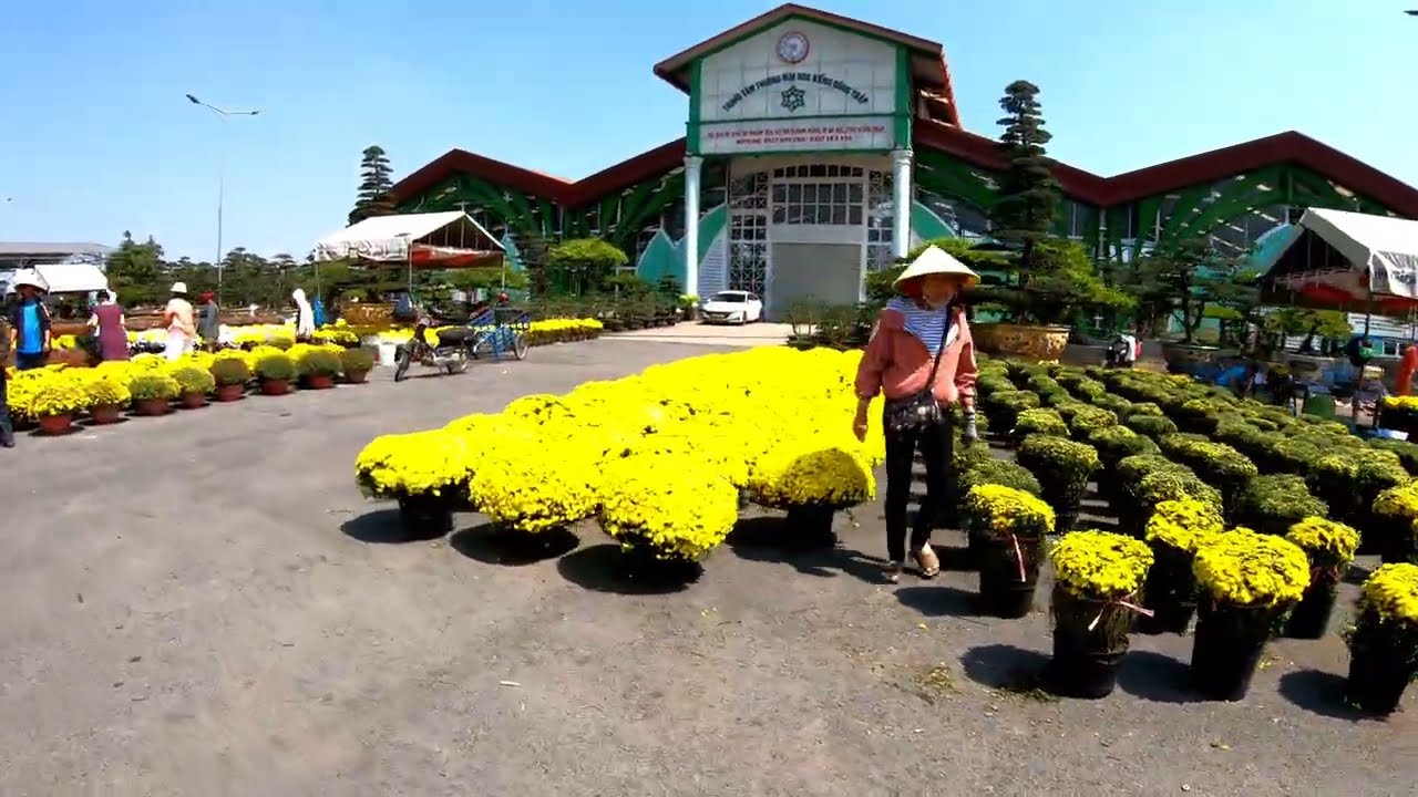 Làng hoa sa đéc 