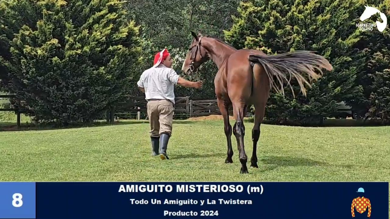 8- AMIGUITO MISTERIOSO