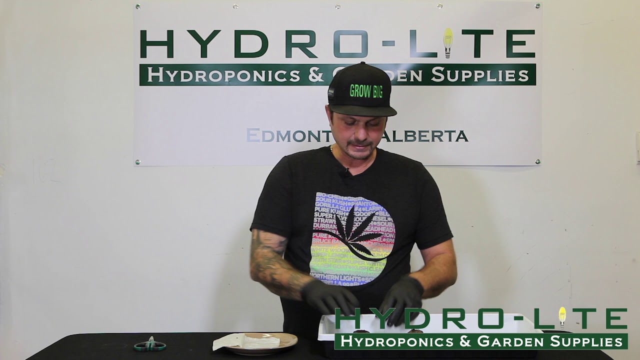 #7 Sinking your Seeds into Peat Pellets  - Hydro-Lite Hydroponics