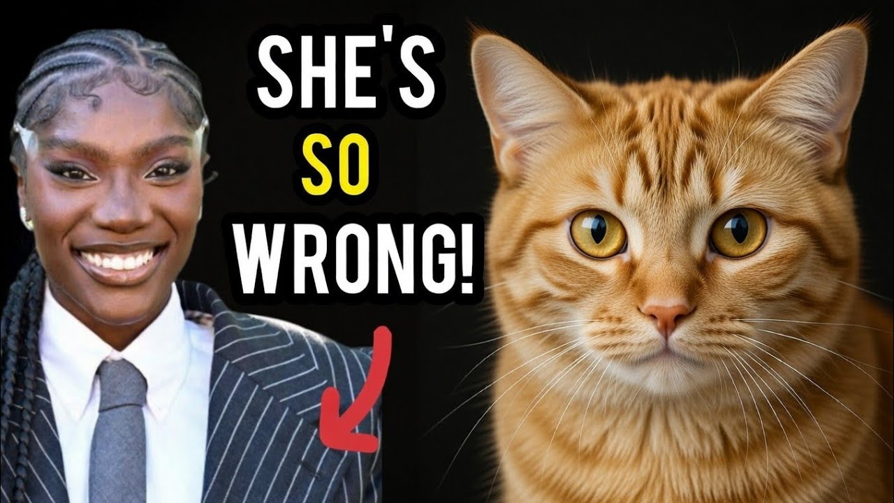 The Psychology of People Who Dislike Cats | Why Doechii is WRONG About Cats 