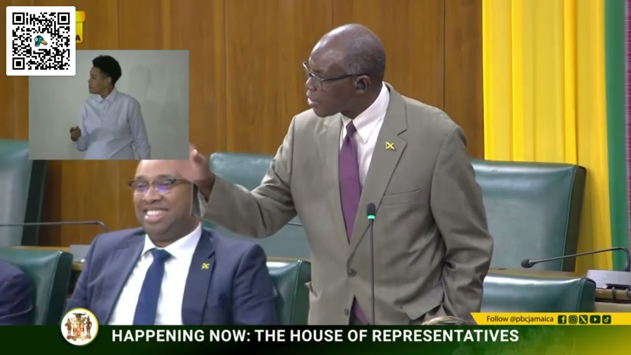 Chaos in the Sitting of the House of Representatives now JLPNP