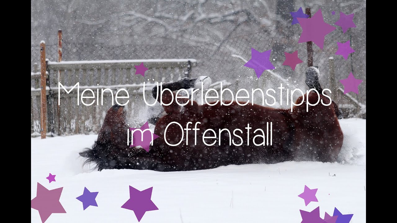 Meine &Uuml;berlebenstipps im Offenstall! S***** auf Winter!