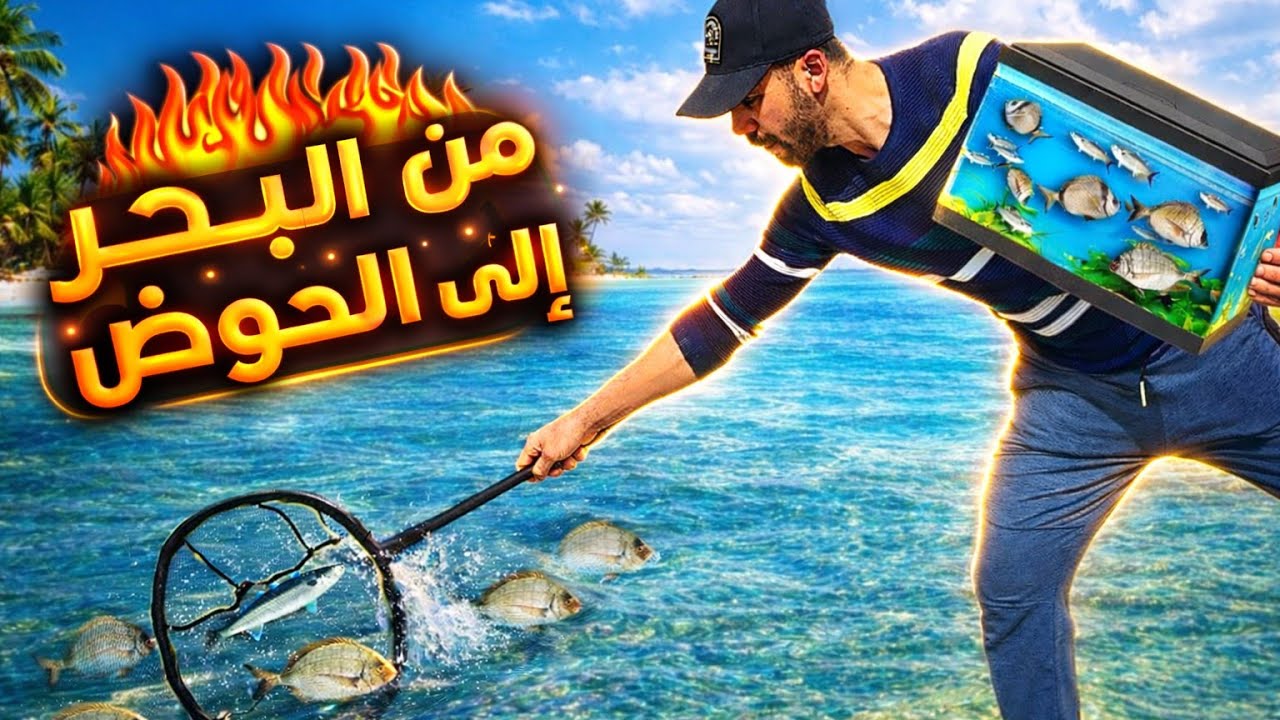 وأخيرا حققت حلمي؟؟ تجربة صنع حوض الأسماك البحرية !! هل سينجح ام لا