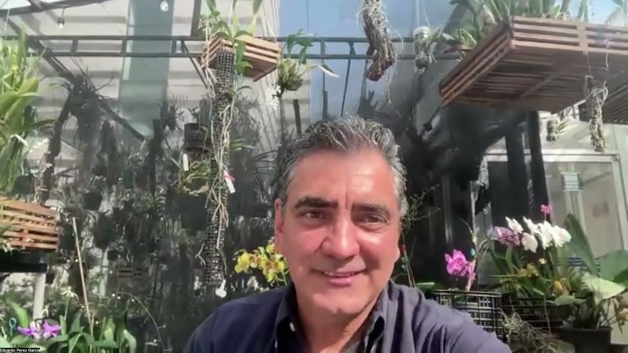 Cultivo de orquideas para principiantes