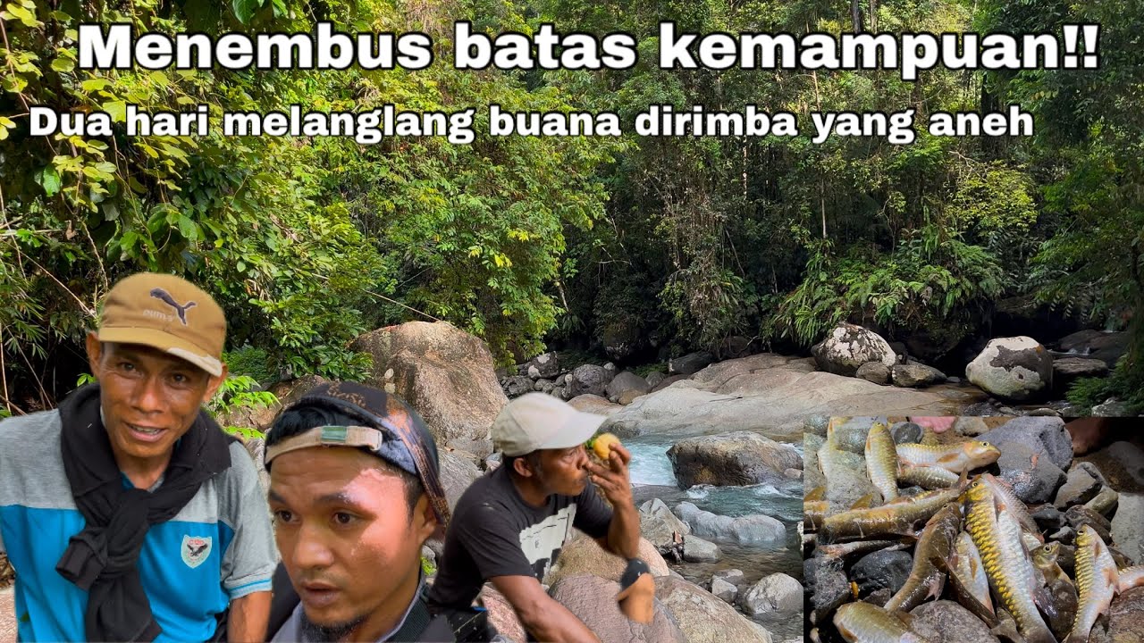 Demi Ikan Semah dan Sidat Tuo Mengarungi Rimba Yang Aneh Dua Hari Dua Malam