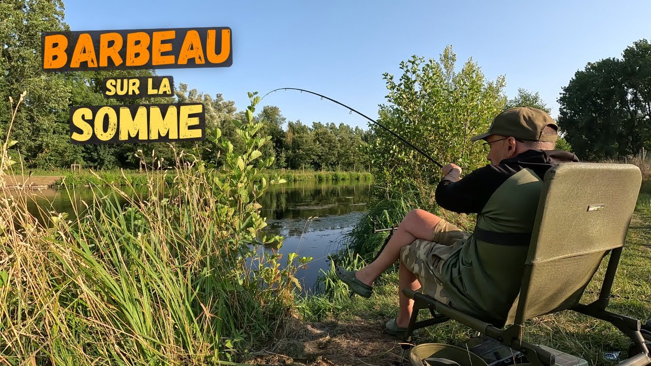 Traque du barbeau dans un dédale de plantes aquatiques