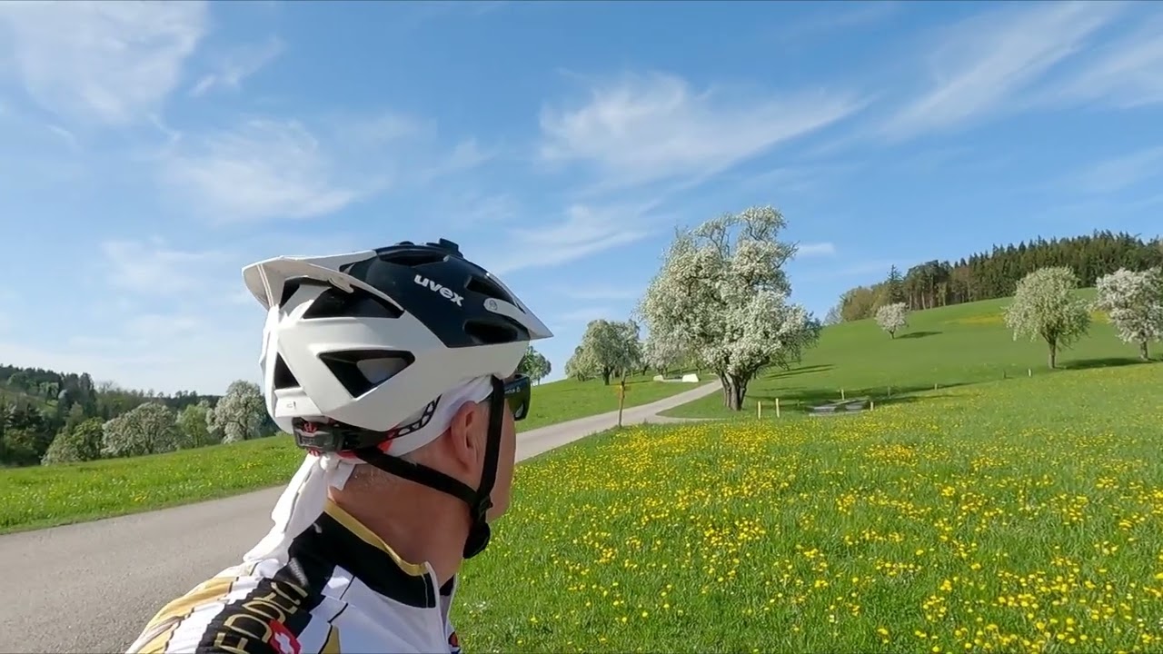 2024_Baumblütenausfahrt Mostviertel