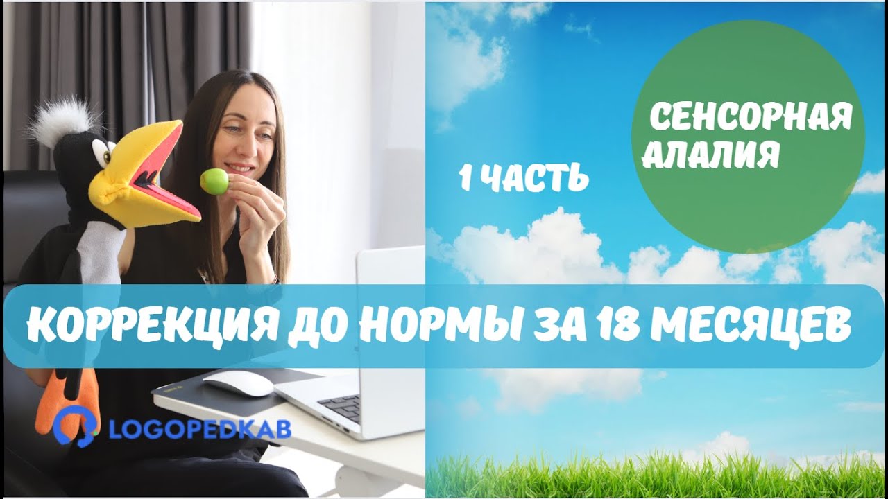 Сенсорная алалия. Коррекция до нормы за 18 месяцев. 1 часть