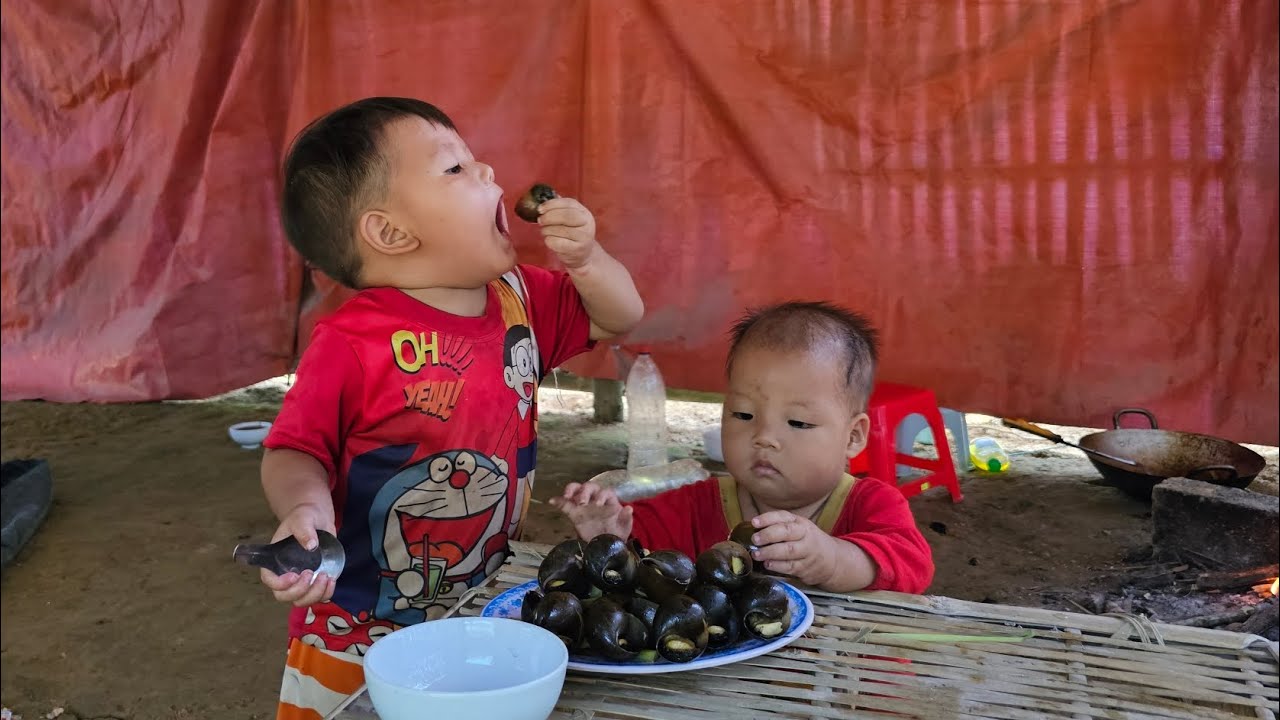 A single mother cooks delicious snails for the whole family to eat  - lý thi My