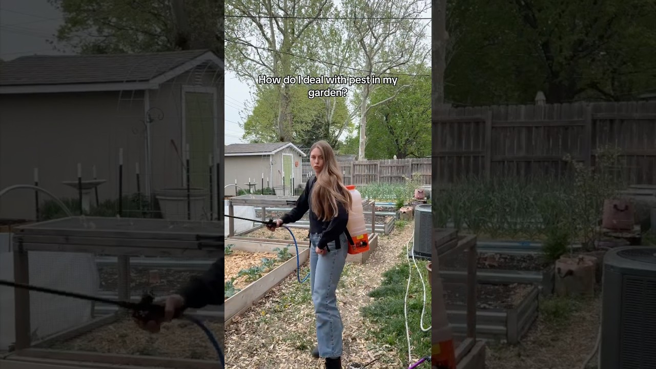 Tackling Soil Pests With Beneficial Nematodes!  #backyardhomestead #growyourownfood #gardening