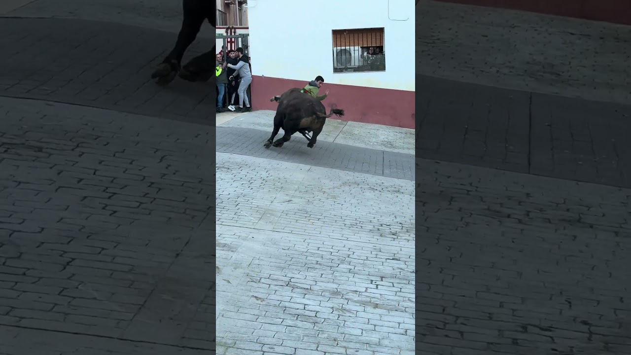&iexcl;Susto tremendo con este toro en las fiestas de Tales! #toros #susto