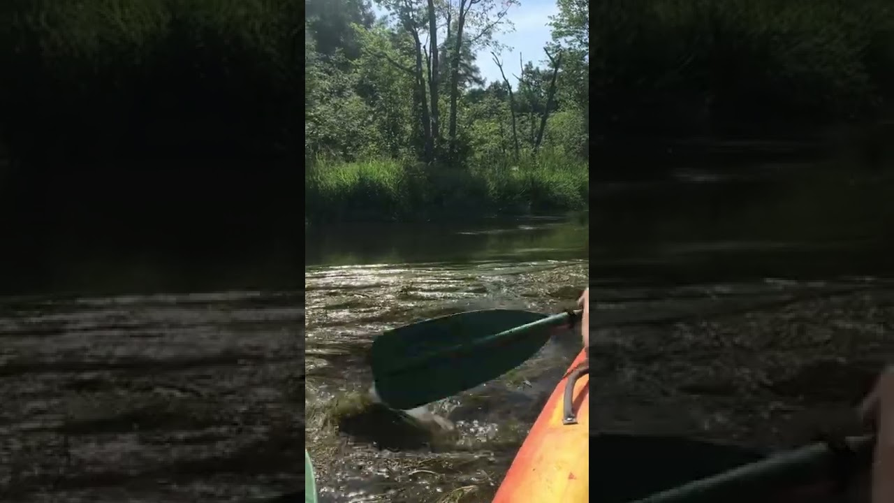 Quiet Kayaking