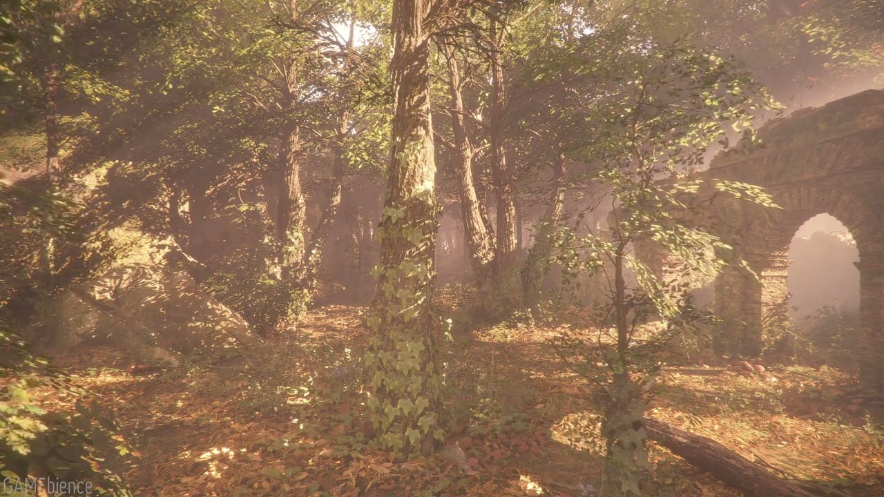 3 Hour - A Plague Tale: Innocence - Sunny Forest Ambience