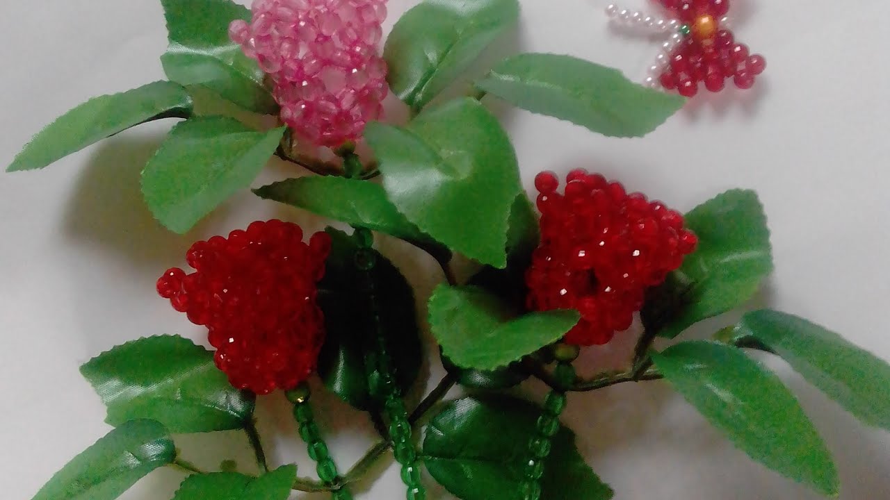 পুঁতির গোলাপ ফুল গাছ