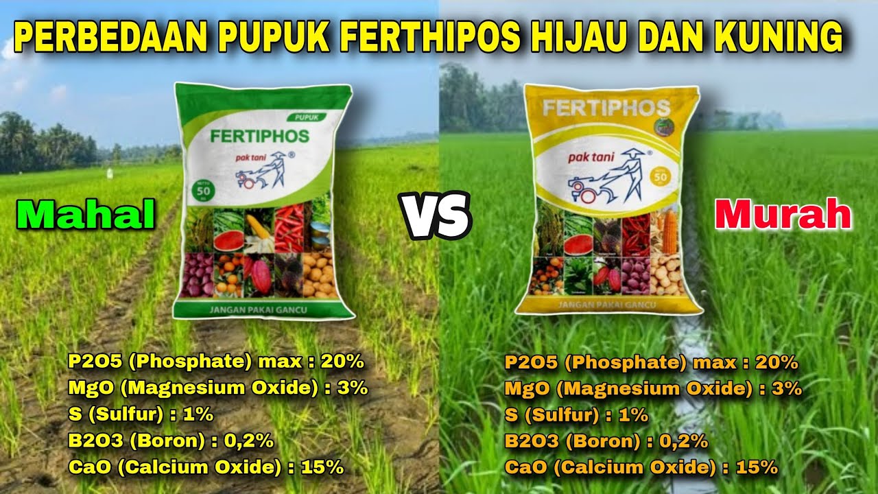 Unsur Hara Sama Kenapa Beda Harga❗Inilah Perbedaan Pupuk Ferthipos Hijau Dan Kuning 