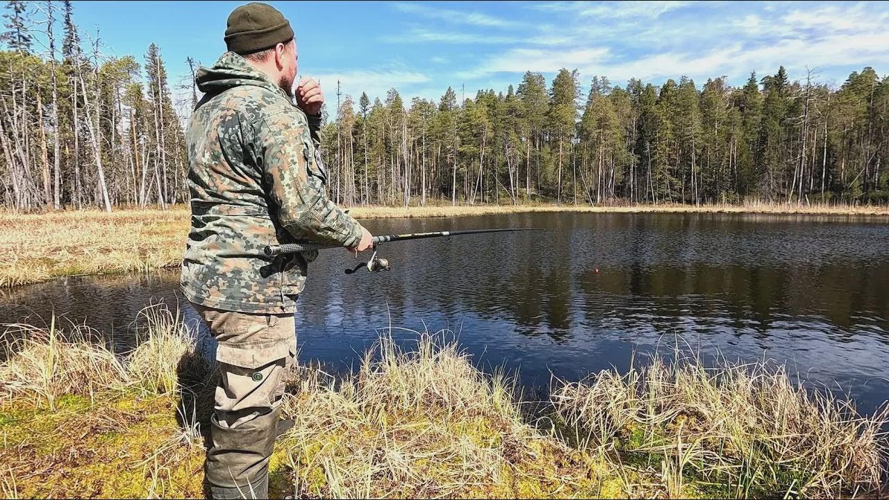 Catching Big Roach on a Float Rod in Karelia – Fishing Like a Kid Again!