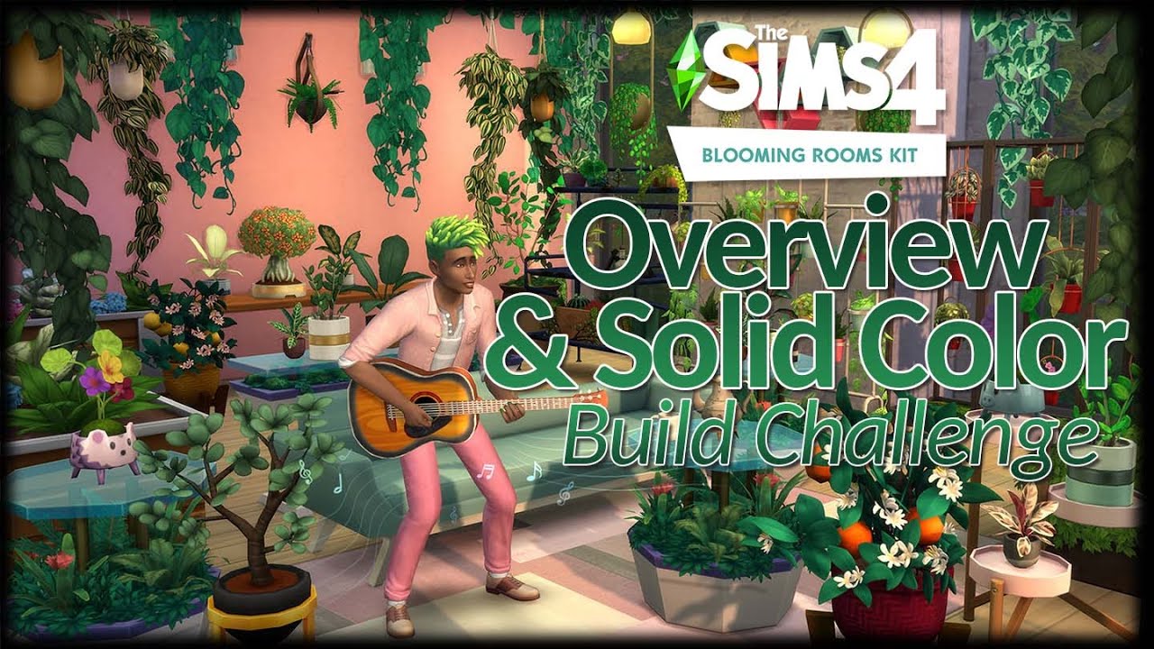 Blooming Rooms New Plant Kit Overview & Solid Color Build Challenge // LIVE