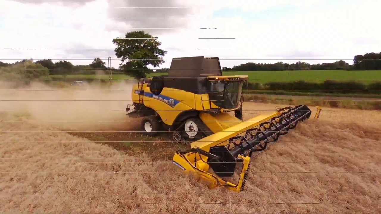 New Holland CX8.90 Combine, Rapeseed