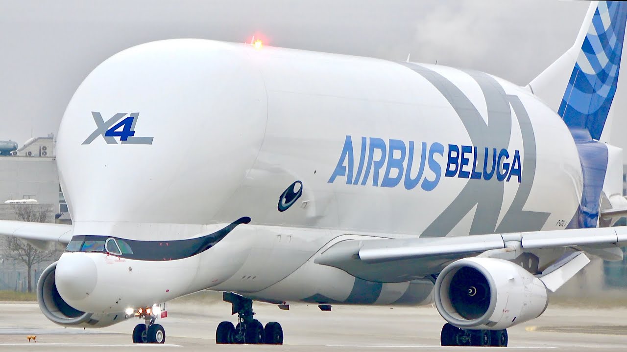 RARE BELUGA! A330-743L Beluga XL (F-GXLJ) Departure at Munich Airport!