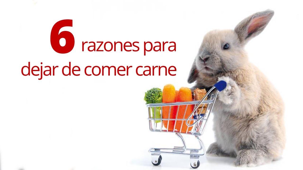 DEJAR DE COMER CARNE SALVARA AL MUNDO