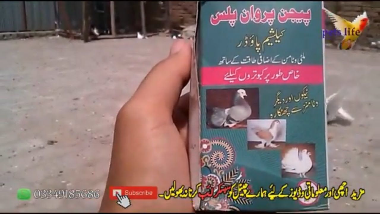 pigeon parwaan plus calcium + multy vitamins powder