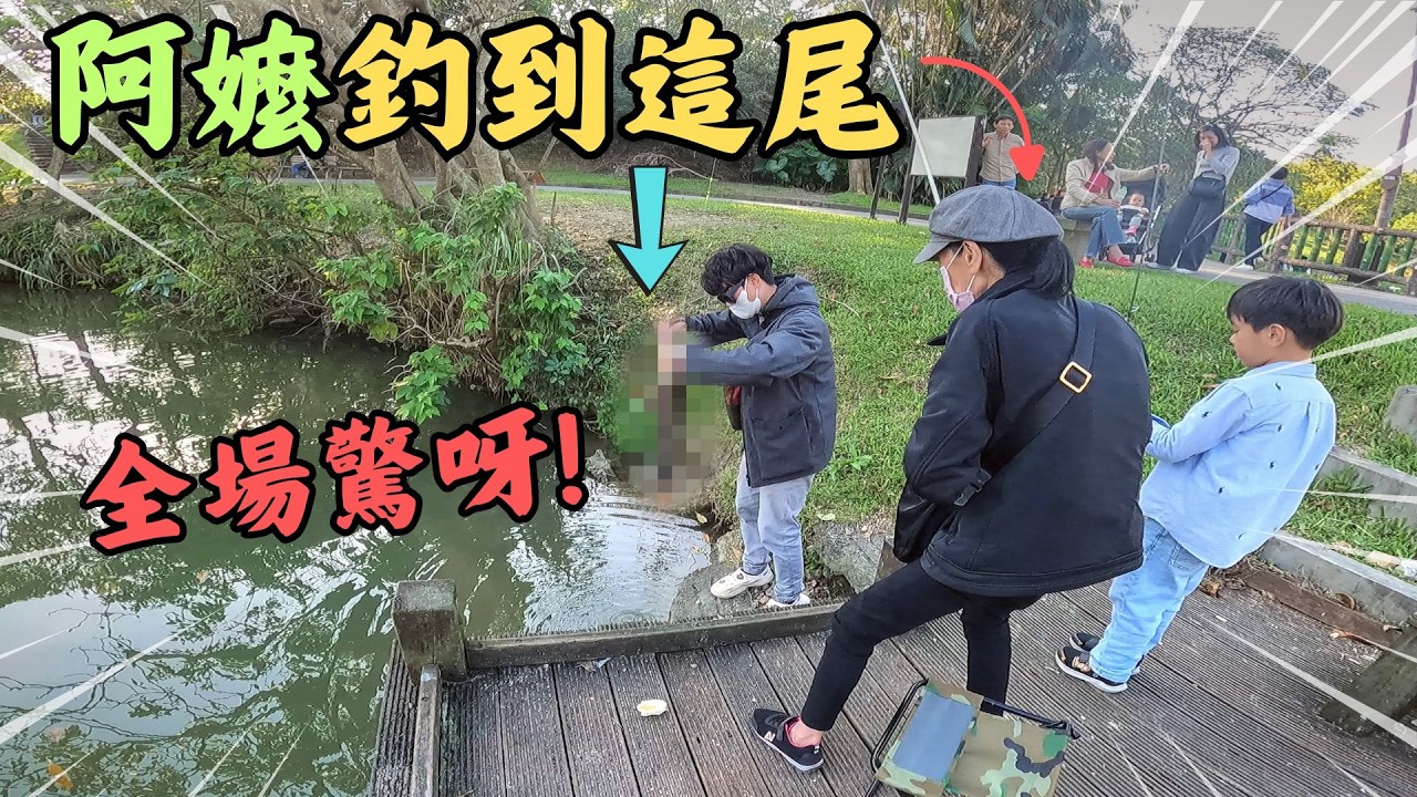 阿嬤釣到這尾，全場驚呀圍觀! 瞠目結舌! 南港公園釣魚區，免費又好玩! ｜ 小物釣｜勇作微物釣工坊 ｜ タナゴ釣り｜臺灣石鮒｜ 牛屎鯽｜微物釣 ｜祖孫情  ｜親情｜#釣り #タナゴ #釣魚