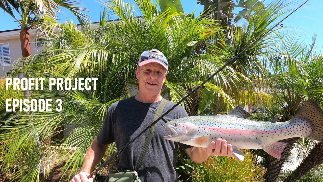 PROFIT PROJECT: EPISODE 3. TRYING TO TURN $10 INTO $10,000.