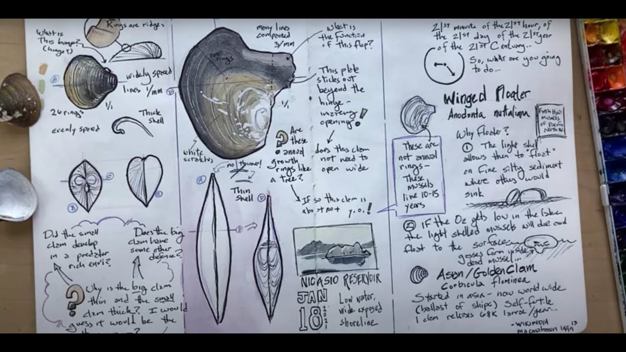 The Nature Journal Connection, Episode 32: Research and Infographics