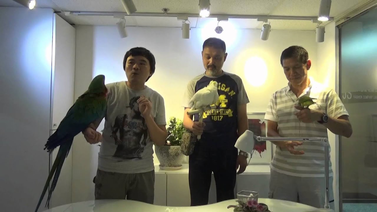 〈我不是寵物〉 20140916 ep2 --- 鸚鵡大王