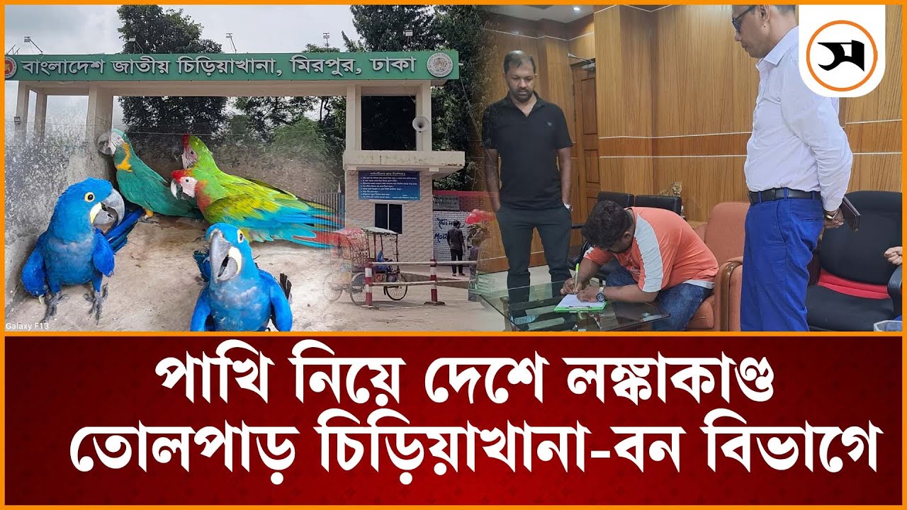 ৬ কোটির টাকার পাখি উধাও, সন্ধানে ইন্টারপোলের সহযোগিতা চেয়েছে বন বিভাগ | | Samakal News