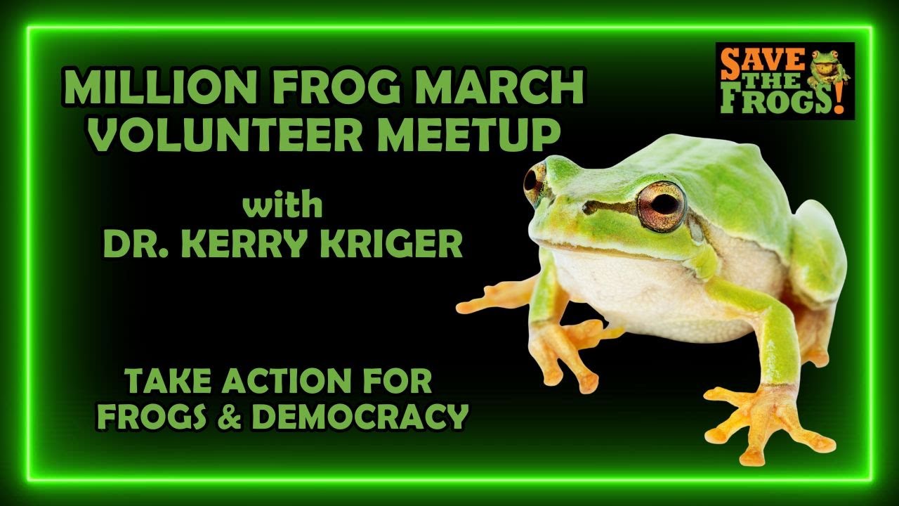 Million Frog March - Volunteer Meetup - Take Action For Frogs & Democracy (2025-11-06)