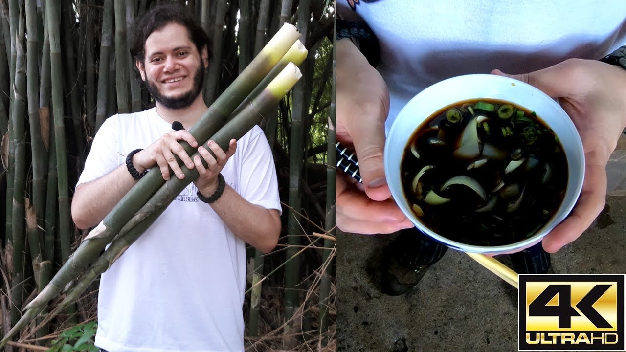 BROTO DE BAMBU - COLETA, LIMPEZA, PREPARO E RECEITA (TAKENOKO SEM GOSTO AMARGO) - PANCs