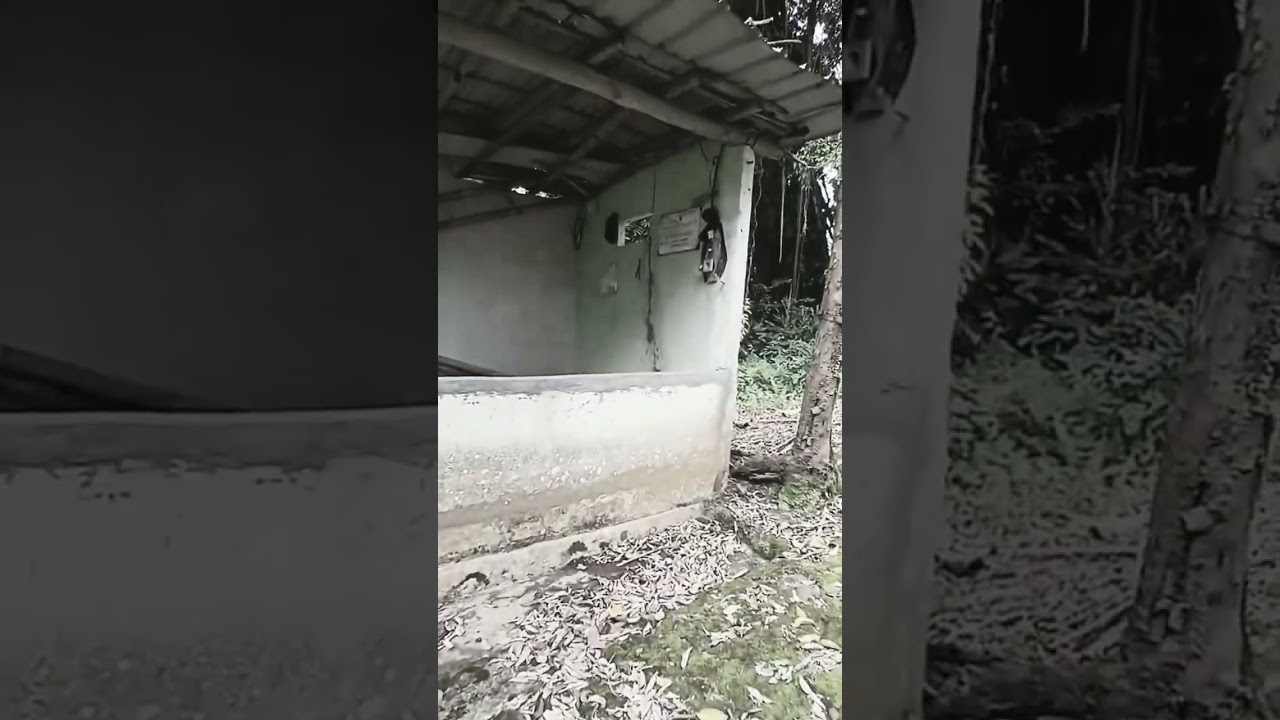 зловещая тишина