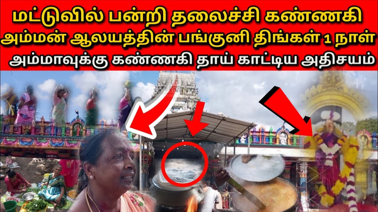 💥மட்டுவில் பன்றி தலைச்சி கண்ணகி அம்மன் ஆலயத்தின் பங்குனி திங்கள் அம்மாவுக்கு கண்ணகி தாய் காட்டிய SS