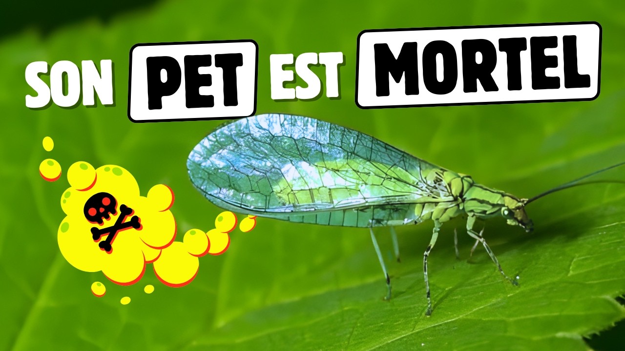 100 faits SURPRENANTS (et prouvés) sur les animaux