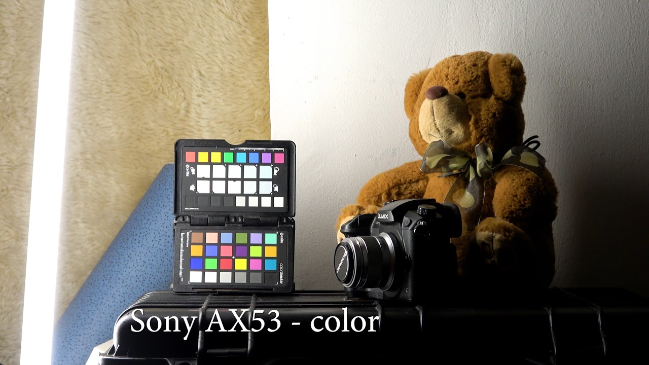 Sony AX53 vs Panasonic GH5 Vlog L Color Match test