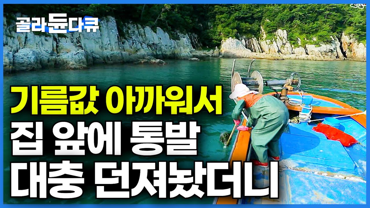 집 앞에 던져 놓은 통발 일주일 만에 걷었는데.. 한 놈에 4만 원 하는 해산물이 계속 올라온다┃피문어 잡는 섬마을 부부┃한국기행┃#골라듄다큐
