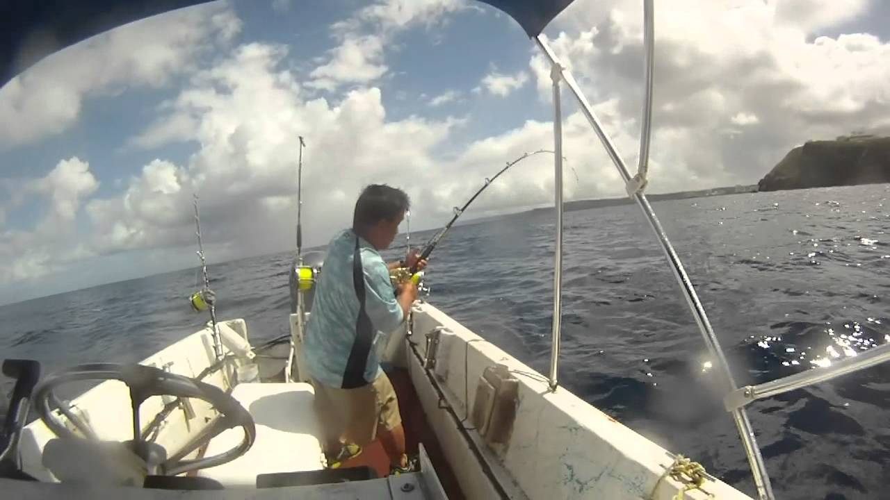 Captain Dominick at Hospital Point Huge Kawa Kawa 1