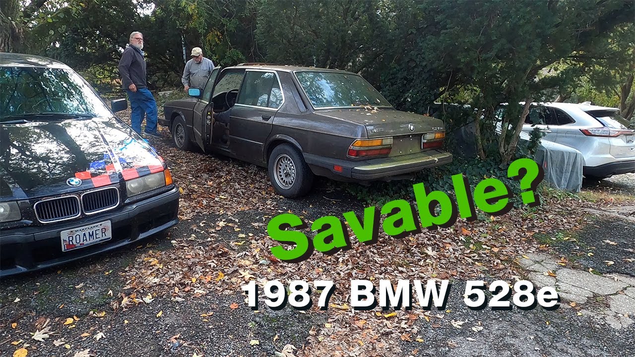 Should we save this 1987 BMW 528e (e28)?