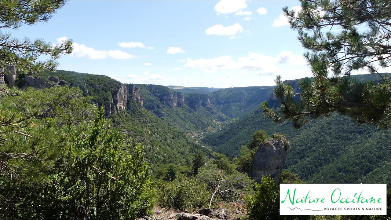 Randonnée entre Cévennes, Grands Causses et Gorges du Tarn