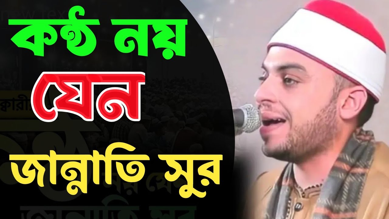কন্ঠ নয় যেন জান্নাতি সুর || Very Excellent Tilawat || Qari Sanad Abdul Hamid Mishor 