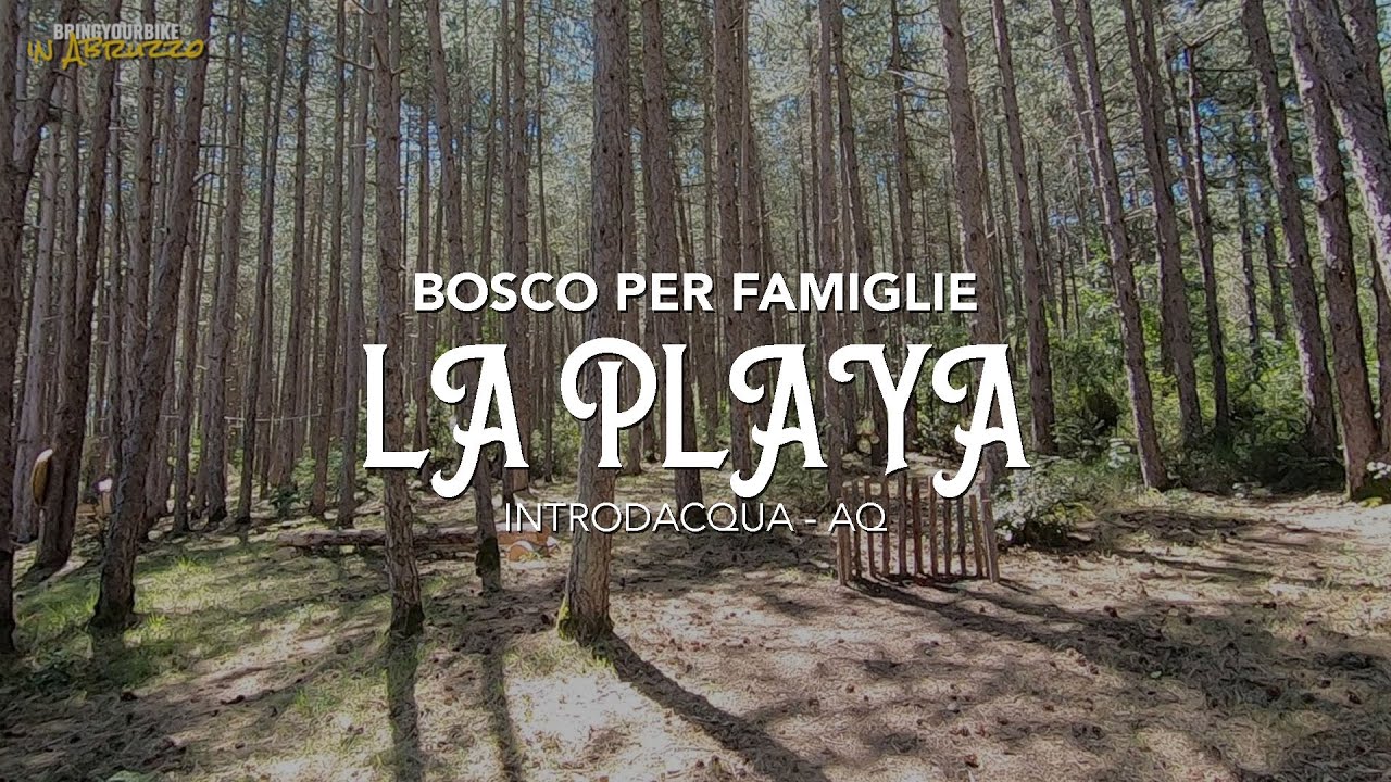 Boschi per famiglie - BOSCO PLAYA [Bringyourbike in Abruzzo]